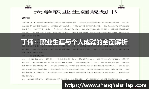 丁伟：职业生涯与个人成就的全面解析